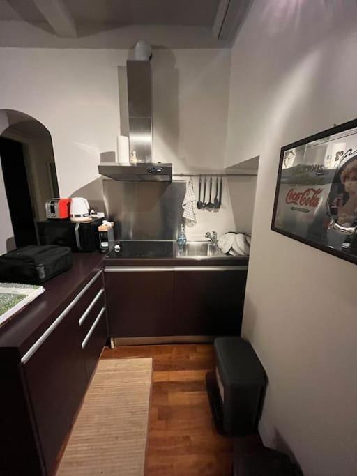 Mount Flower Trastevere Apt Βίλα Ρώμη Εξωτερικό φωτογραφία